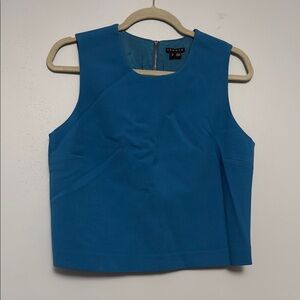 Theory Blue Vest